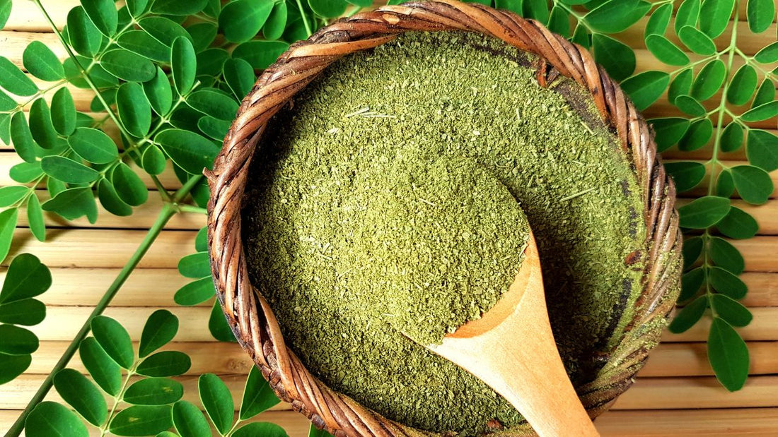 What Is Moringa and What Are Its Potential Benefits?