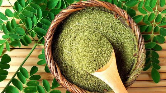 What Is Moringa and What Are Its Potential Benefits?