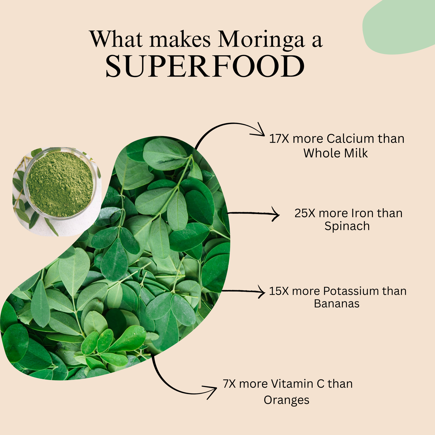 Moringa Powder (500g) + Beetroot Powder (500g) Combo