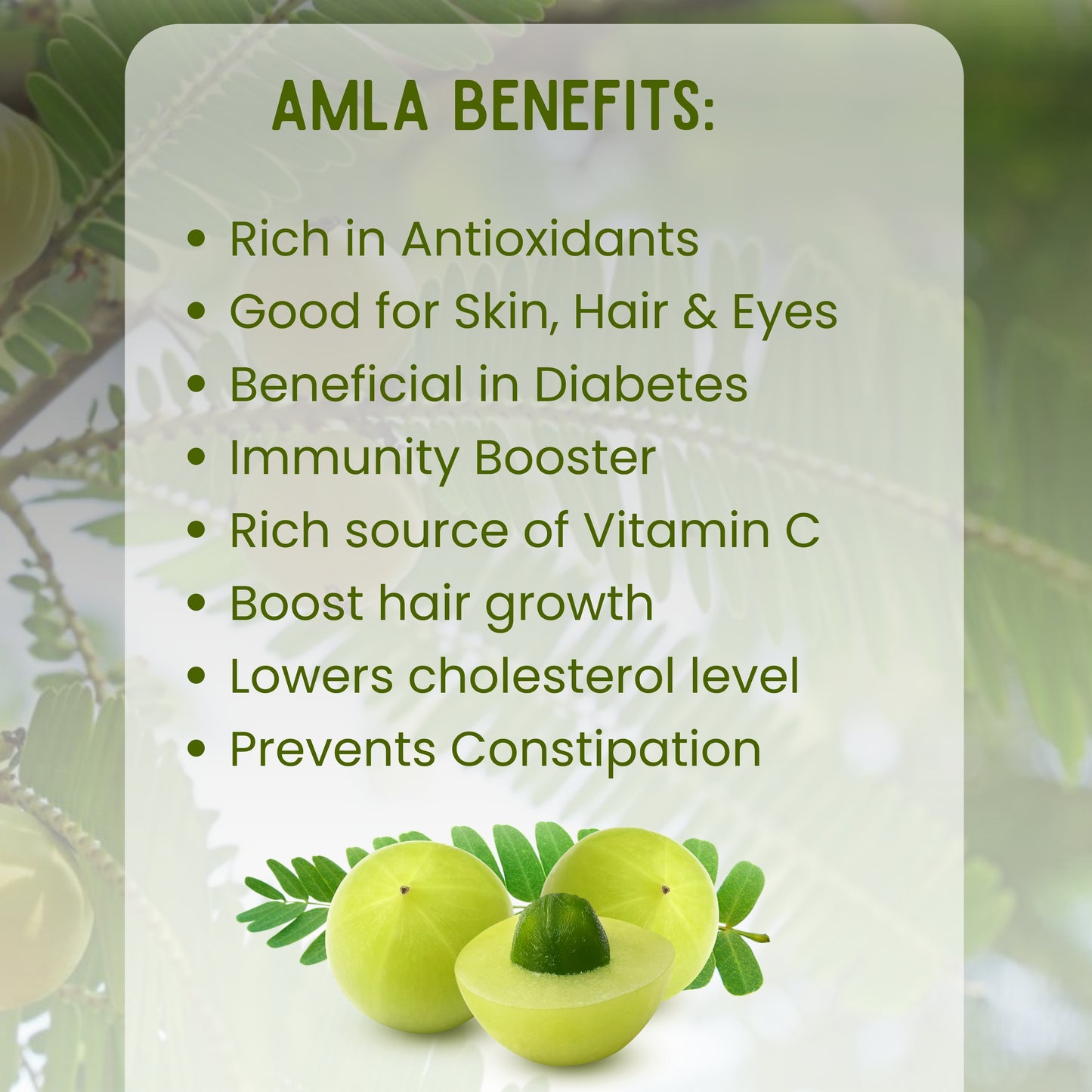 Amla Powder (500g) + Butterfly Pea Flower Tea (100g) Combo Pack