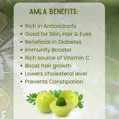 Amla Powder (500g) + Butterfly Pea Flower Tea (100g) Combo Pack