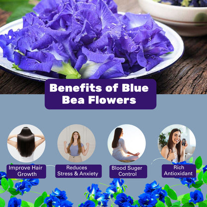 Amla Powder (500g) + Butterfly Pea Flower Tea (100g) Combo Pack