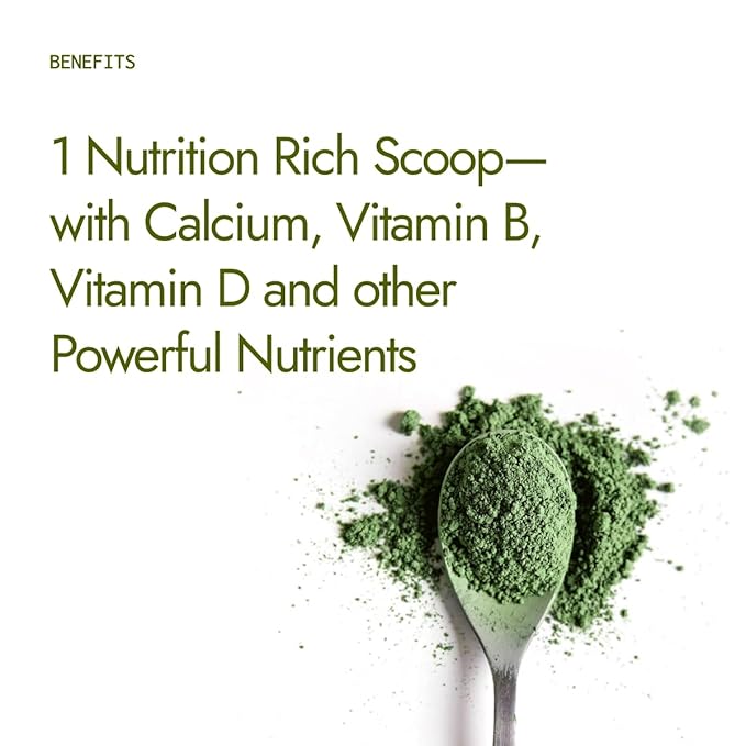 Pure Moringa Powder 500g – Natural Superfood for Energy, Immunity & Detox