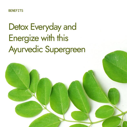 Pure Moringa Powder 500g – Natural Superfood for Energy, Immunity & Detox