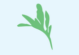 decorative leaf