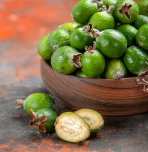 Garcinia Cambogia