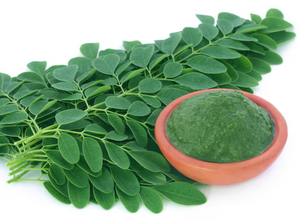 Pure Moringa Leaf Extract