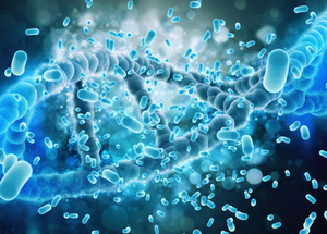Bacillus Coagulans (1 Billion CFU)
